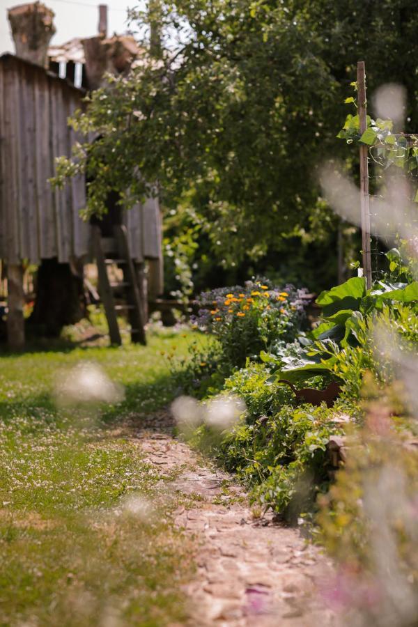 Les Du Bed & Breakfast Sainte-Cecile